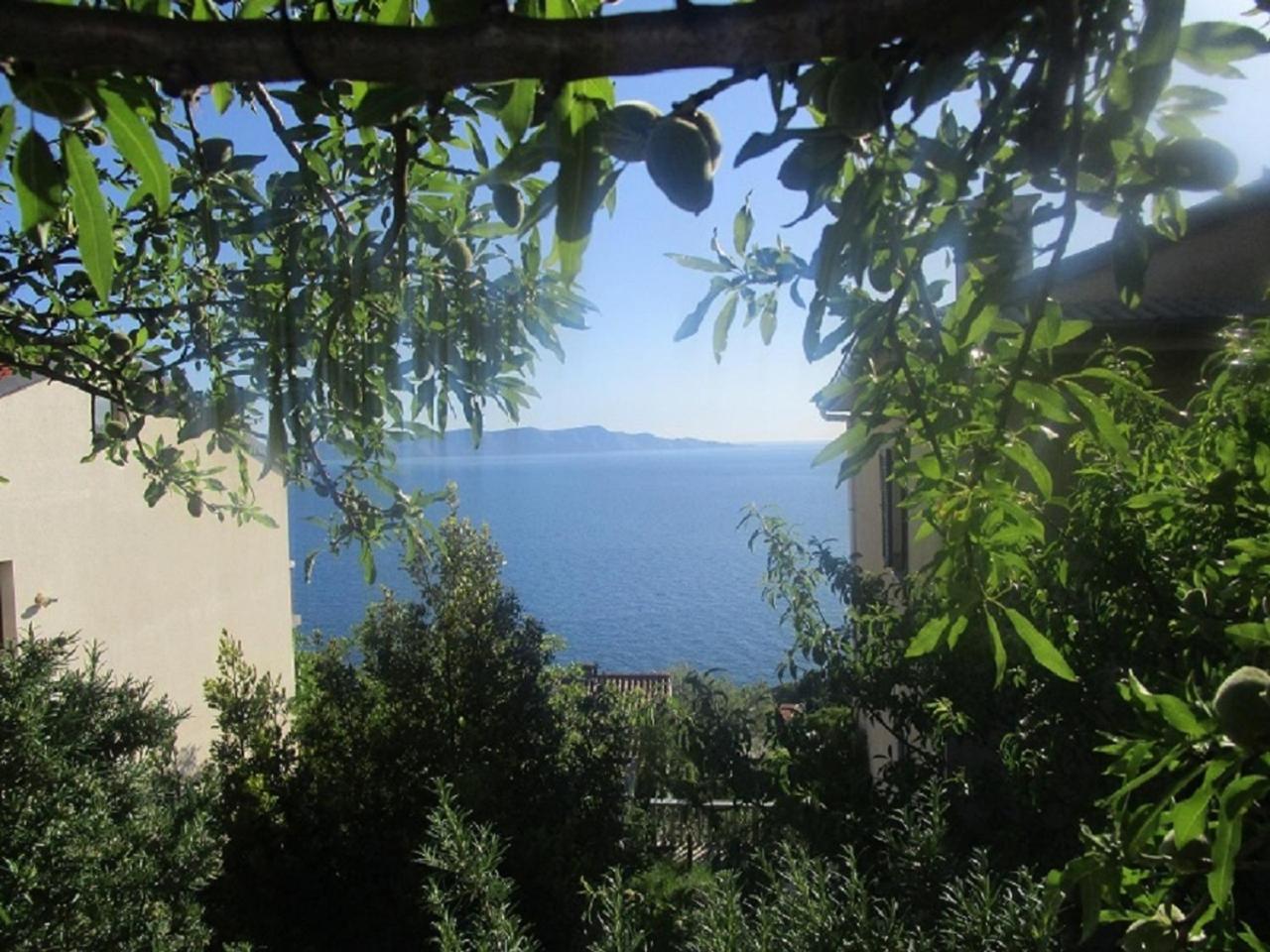 Vuk Apartman Senj  Rom bilde